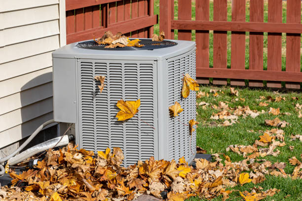Best Local HVAC Companies  in St Francis, MN